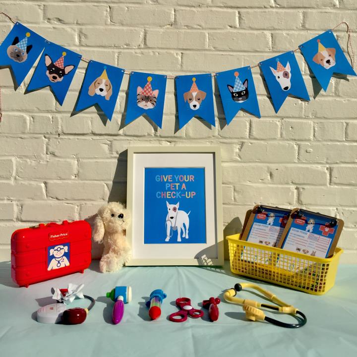 Puppy and Kitty Party Pet Vet Activity