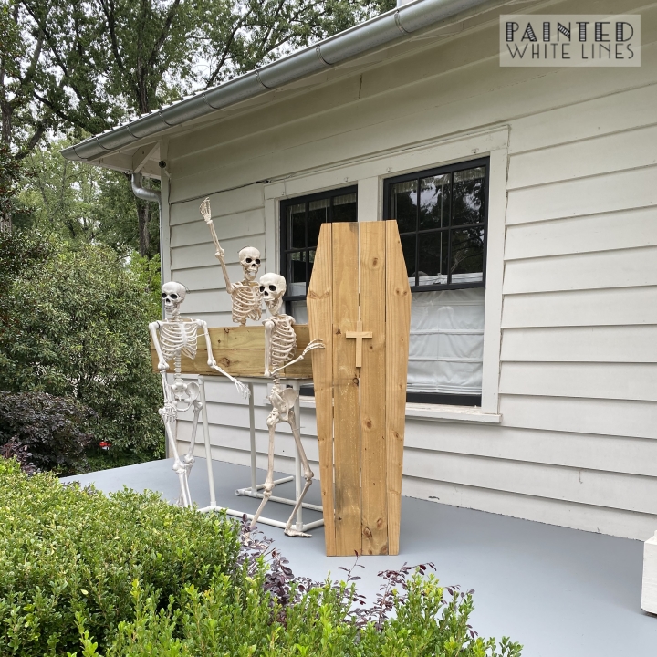 Halloween Skeleton and Casket Display