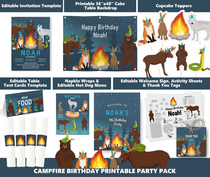Birthday Campfire Invitation Boy Kids 