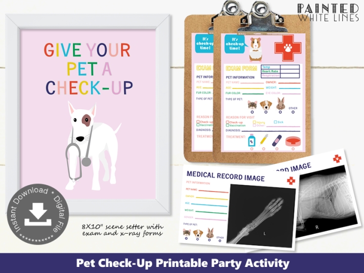 Pet Check-Up Party Activity