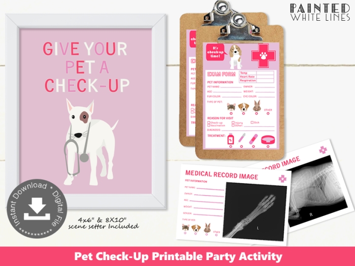 Pet Check-Up Party Activity