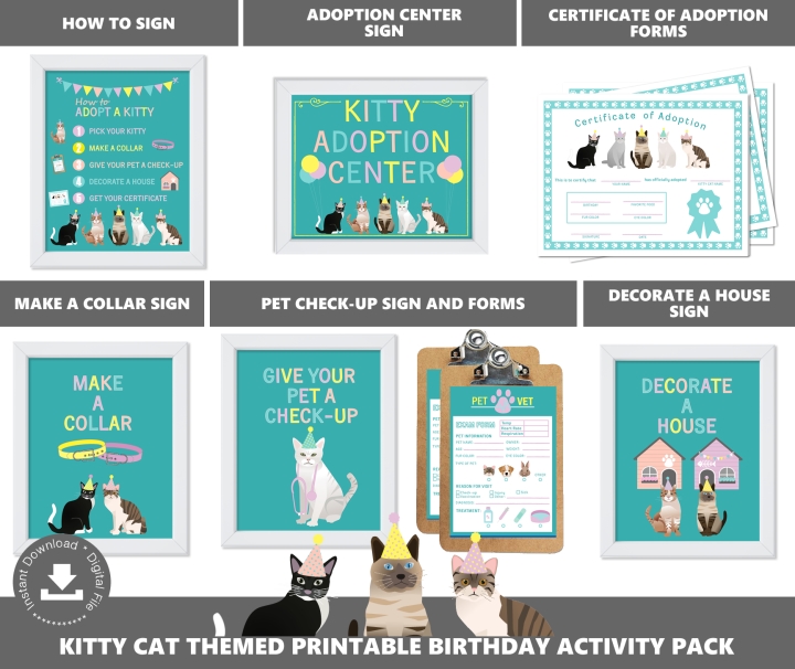Kitty Cat Adoption Station Package