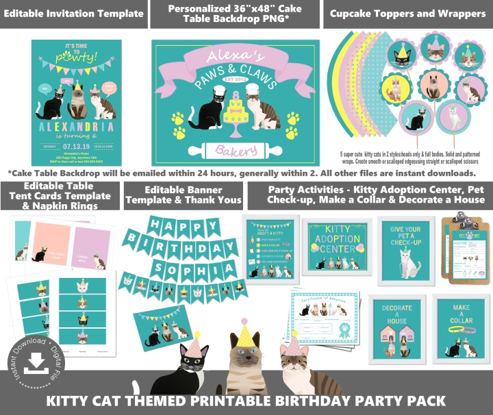 Kitty Cat Themed Party Supplies Package