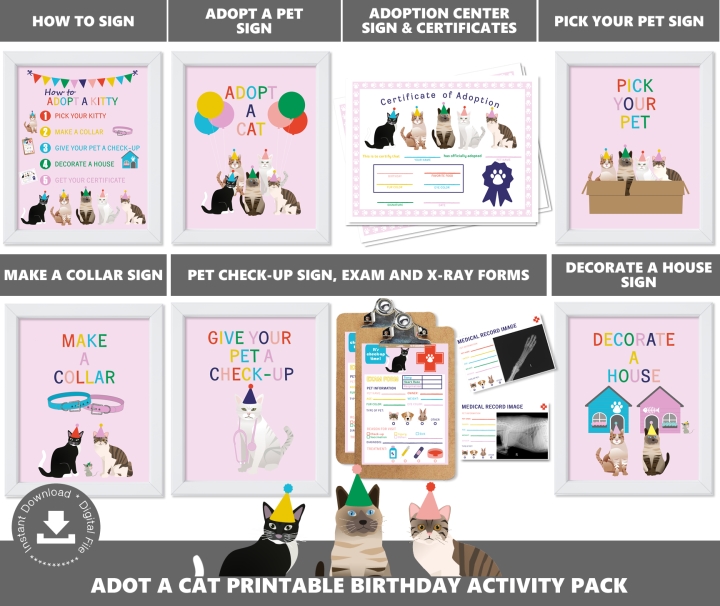 Pink Adopt a Kitty Cat Party Activities