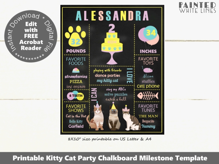 Kitty Cat Party Birthday Milestone Board