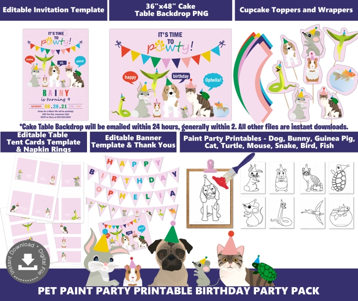 Girls Pet Paint Party Package