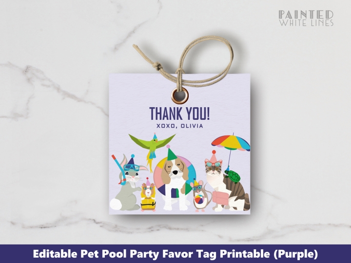 Pool Party Favor Tags Editable 