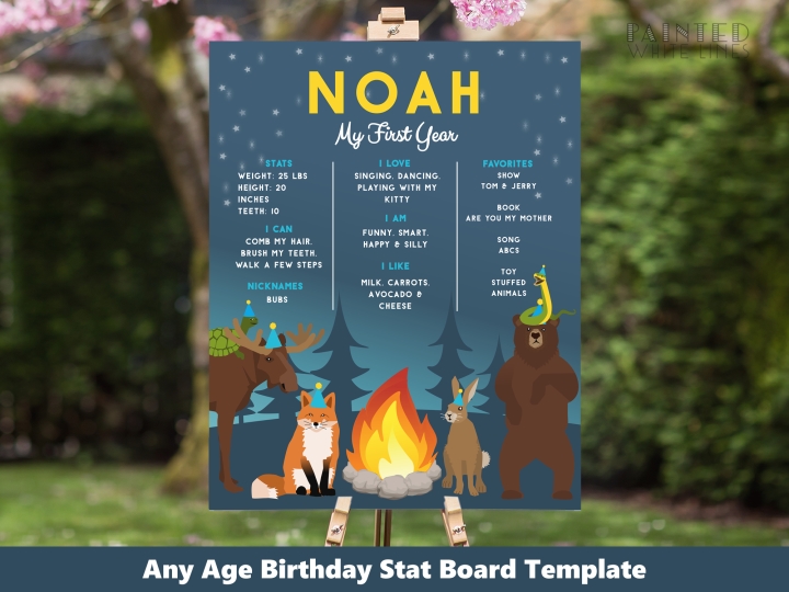 Birthday Campfire Party Stats Board 