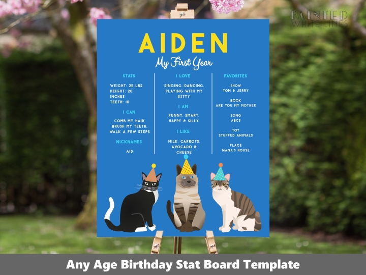Birthday Cat Party Stats Board