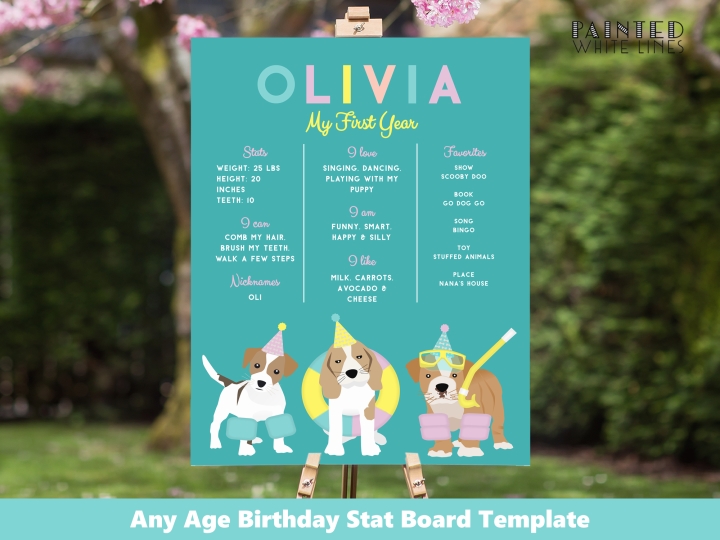 Puppy Pool Party Birthday Stats Board 