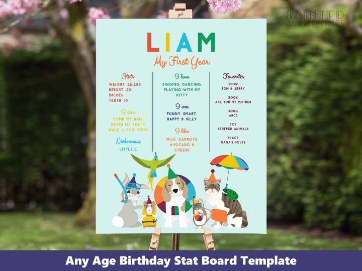 Pet Pool Party Birthday Stats Board 