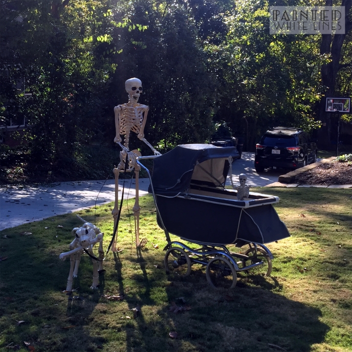 Halloween Skeleton Yard Display