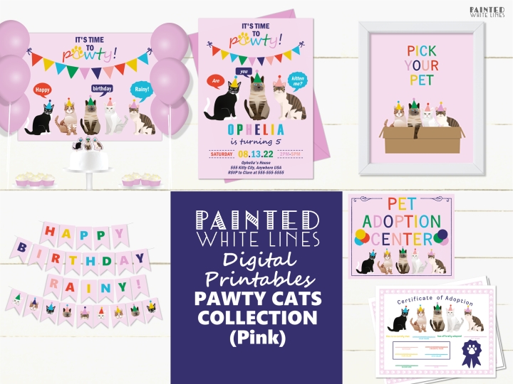 Adopt a Kitty Cat Birthday Party (Pink)